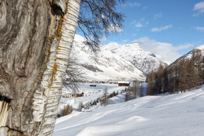 livigno-freeride_33.jpg