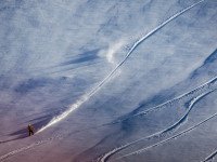 European Freeride Forum