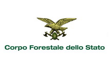 Corso Forestale dello Stato